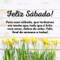 ARTHUR LUIS OLIVEIRA